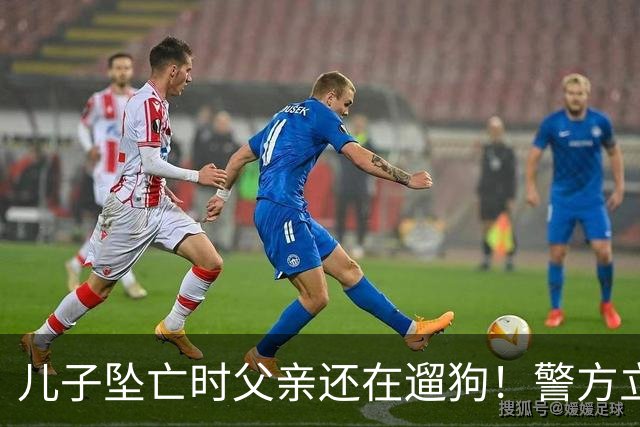儿子坠亡时父亲还在遛狗！警方立案，母亲曝光铁证，果然有阴谋
